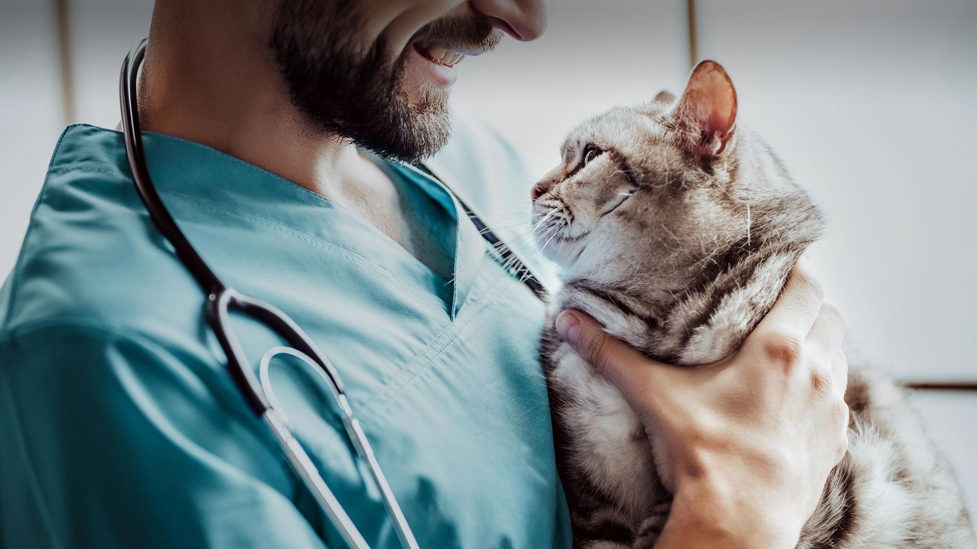 Yağcılar Veteriner